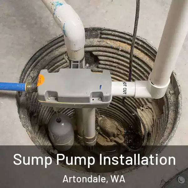  Sump Pump Installation Artondale, WA