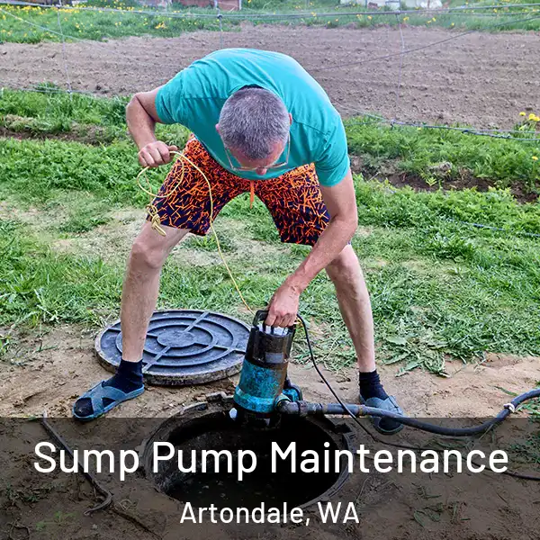  Sump Pump Maintenance Artondale, WA