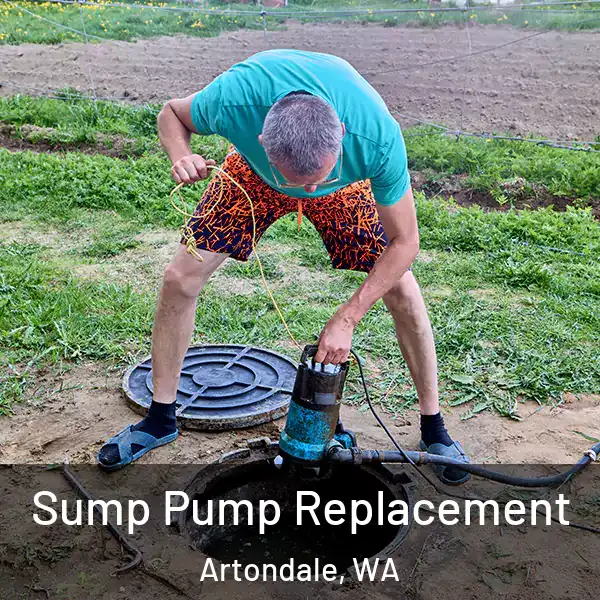 Sump Pump Replacement Artondale, WA