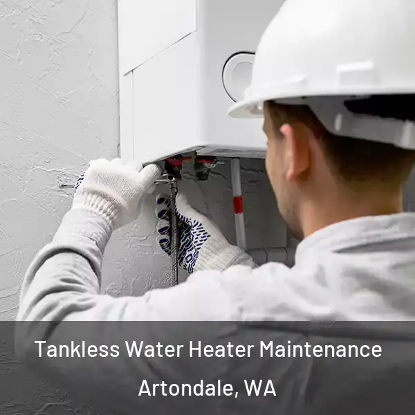  Tankless Water Heater Maintenance Artondale, WA