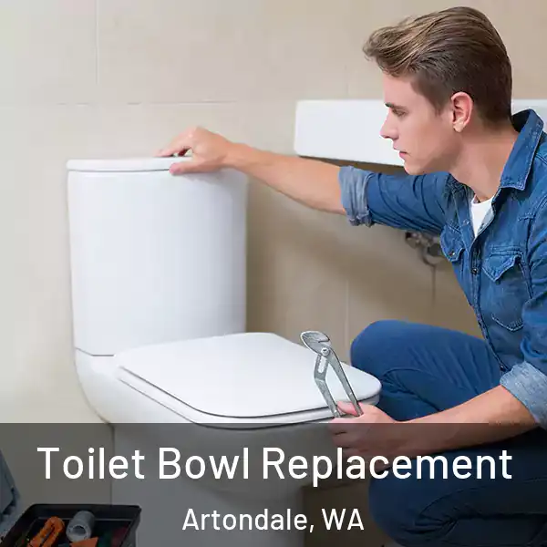  Toilet Bowl Replacement Artondale, WA