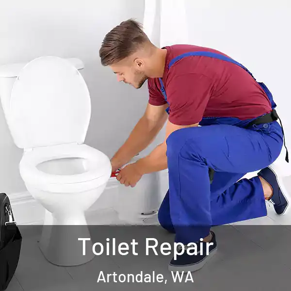  Toilet Repair Artondale, WA