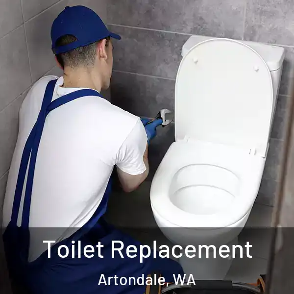  Toilet Replacement Artondale, WA