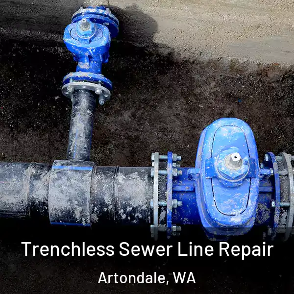  Trenchless Sewer Line Repair Artondale, WA