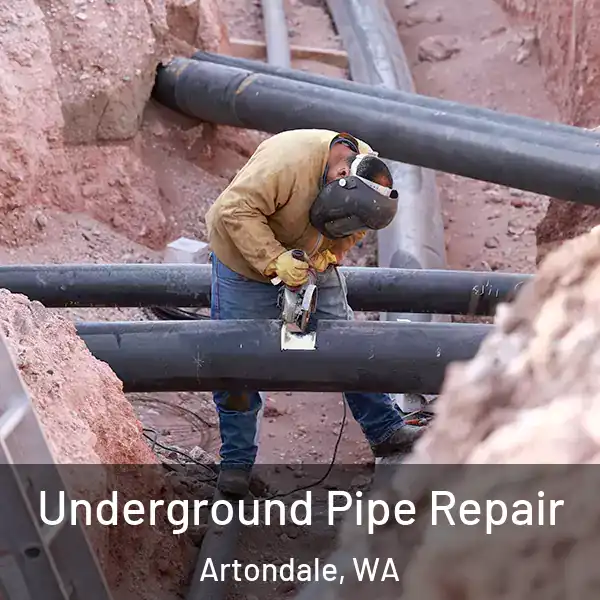  Underground Pipe Repair Artondale, WA