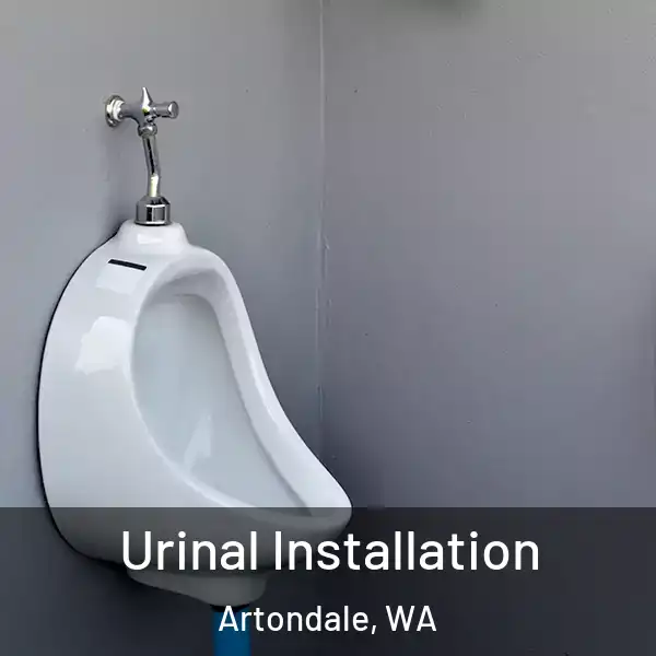  Urinal Installation Artondale, WA