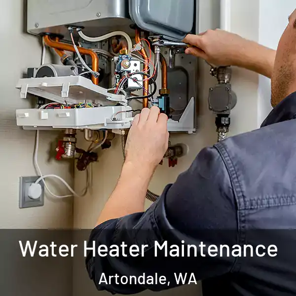  Water Heater Maintenance Artondale, WA