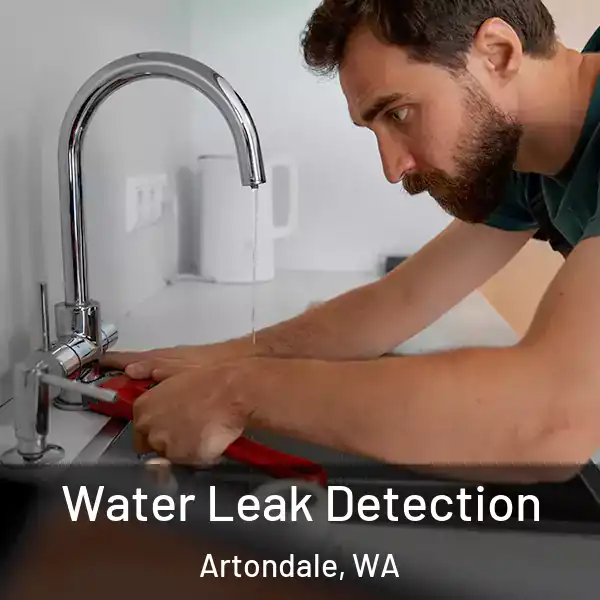  Water Leak Detection Artondale, WA