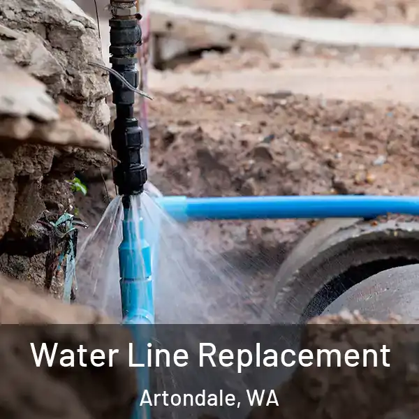  Water Line Replacement Artondale, WA