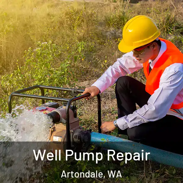  Well Pump Repair Artondale, WA