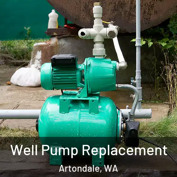  Well Pump Replacement Artondale, WA